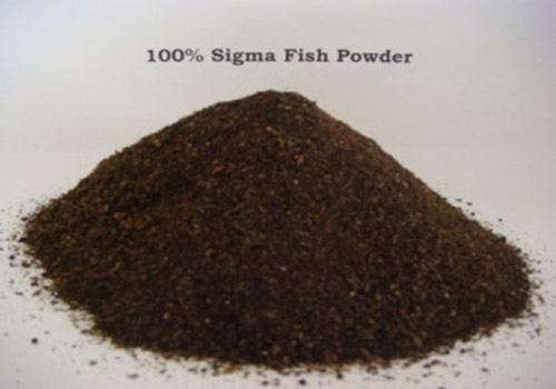 100% Sigma Fish Powder